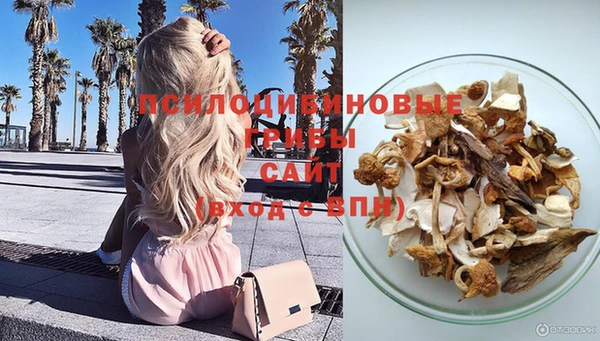 apvp Козельск