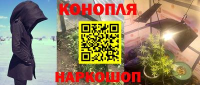 PSILOCYBIN Камышлов