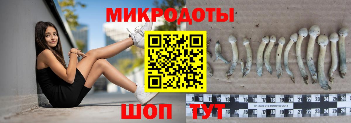 Псилоцибиновые грибы прущие грибы  Вход с VPN  Петрозаводск 